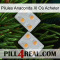 Pilules Anaconda Xl Où Acheter 25